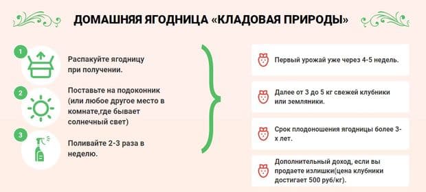 berry-home.ru инструкция по использованию домашней ягодницы