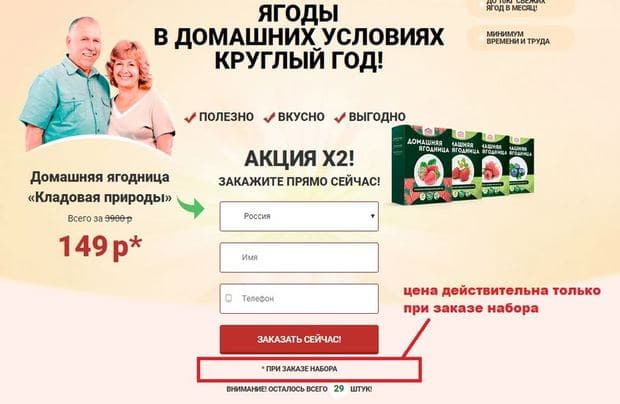 berry-home.ru сколько стоит домашняя ягодница