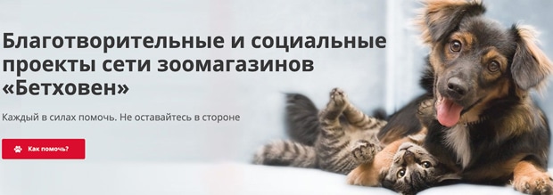 bethowen.ru благотворительные проекты