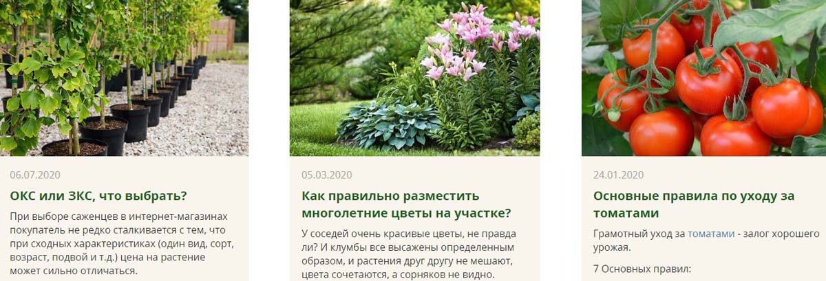 agrosemfond.ru блог