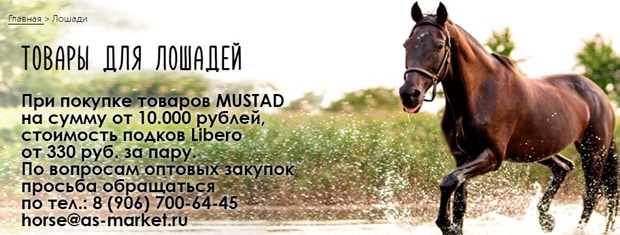 samizoo.ru товары для лошадей